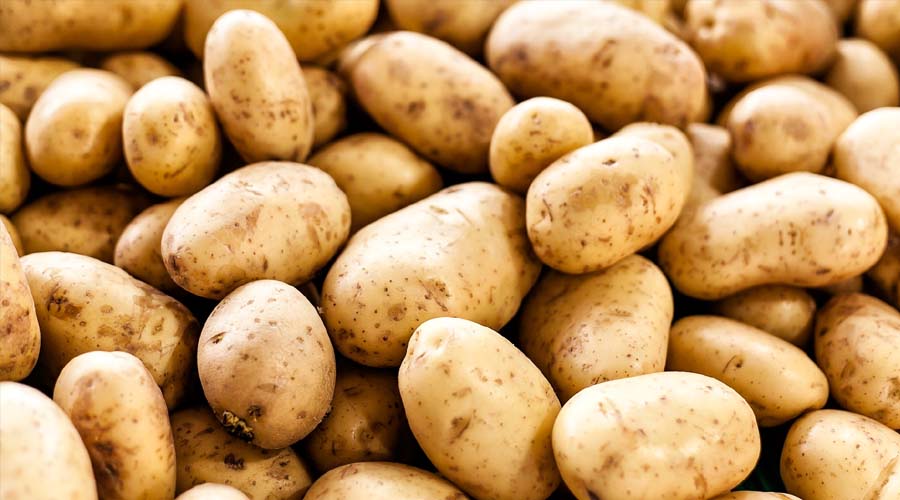 This Everyday Food Was Blamed for Years — But Scientists Reveal the Surprising Truth