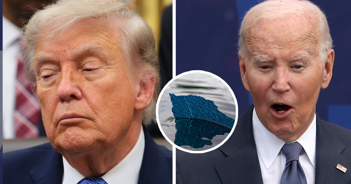 Joe Biden takes brutal swipe at Trump over Reflecting Pool repairs after he threatened vandals with 10 years in prison