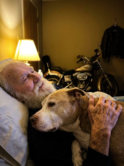 Part 2: My Father Was Seventy-Five and Dying in Hospice. On His Last Night, He Asked for One Thing — to Have His Old Pit Bull Lifted Onto His Chest. What the Dog Did After My Father Stopped Breathing, and What the Dog Did One Week Later, Is Why Our Motorcycle Club Still Rides Past That Field Every Year.