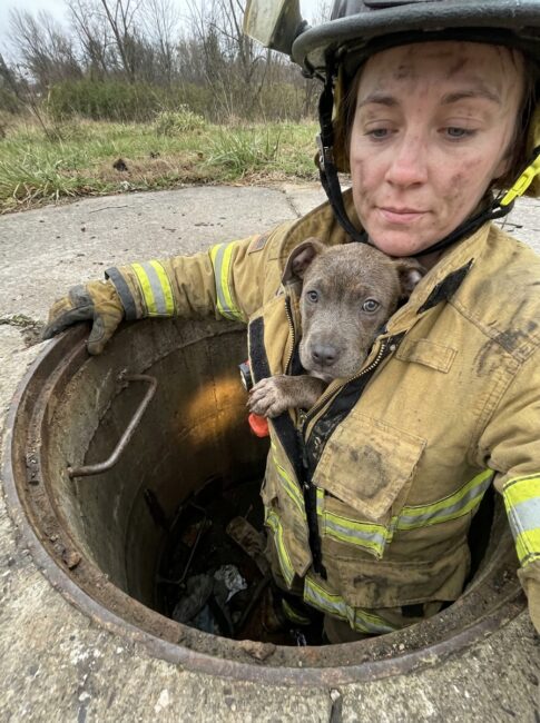 Part 2: They Sent the Smallest Firefighter on the Crew Down Into the Drain to Get the Trapped Dog. When She Climbed Back Out, She Wasn’t Alone — and the Dog Wouldn’t Let Go.