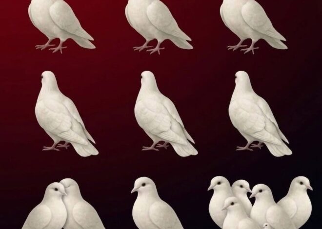 The Number of Doves You See: A Visual Test Exploring Symbolic Meanings of Relationships, Guidance, and Personal Life Paths