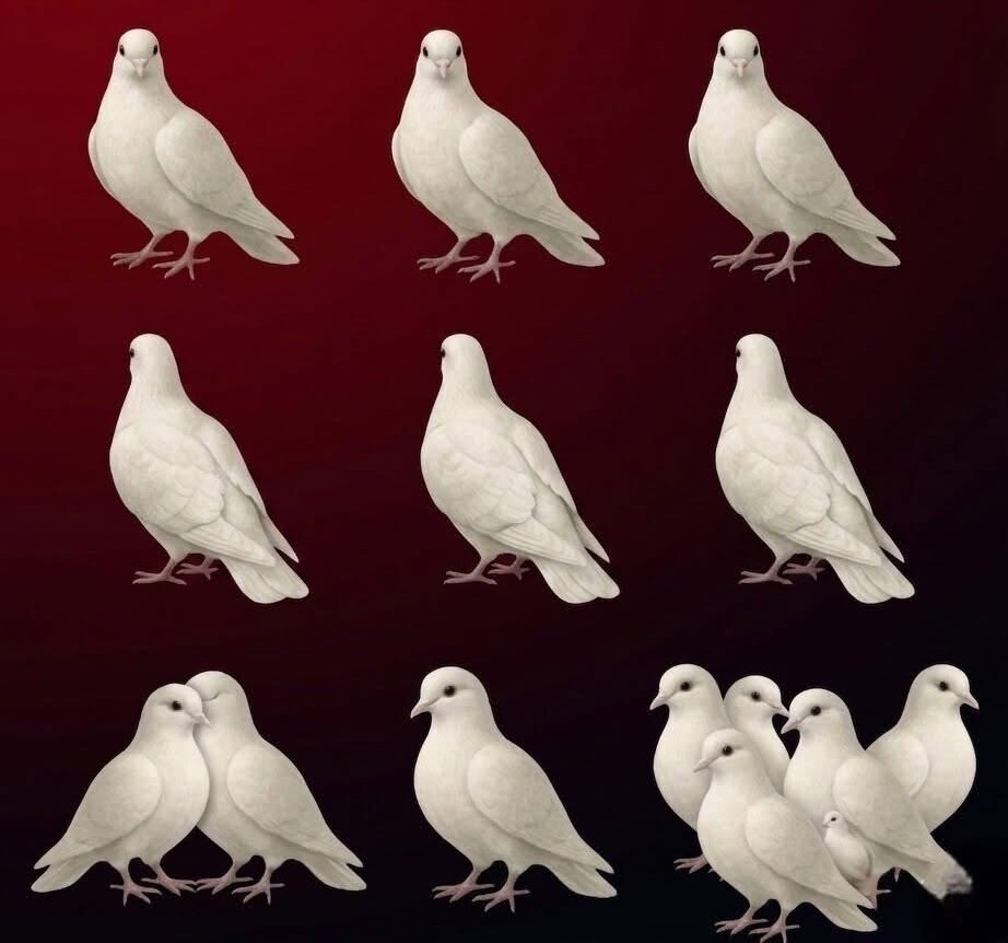 The Number of Doves You See: A Visual Test Exploring Symbolic Meanings of Relationships, Guidance, and Personal Life Paths