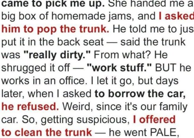 The Locked Trunk, the Hidden Truth, and the Surprise That Changed Everything
