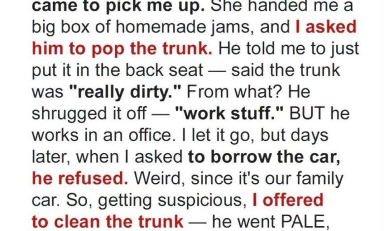 The Locked Trunk, the Hidden Truth, and the Surprise That Changed Everything