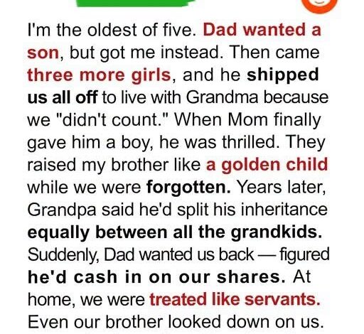 Dad Shipped Me and My Three Sisters off to Live with Grandma Because He ‘Wanted a Son’ – Years Later, I Finally Made Him Regret It