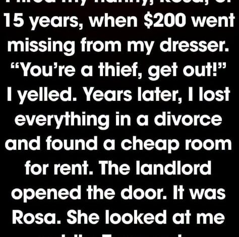 I Dismissed My Nanny Over a Small Amount—Years Later, She Held My Future in Her Hands..
