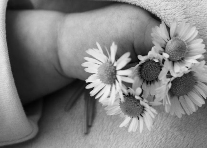 The Day After Giving Birth, I Received Funeral Flowers Instead of Congratulations — The Card Revealed the Truth
