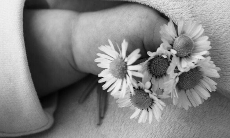 The Day After Giving Birth, I Received Funeral Flowers Instead of Congratulations — The Card Revealed the Truth