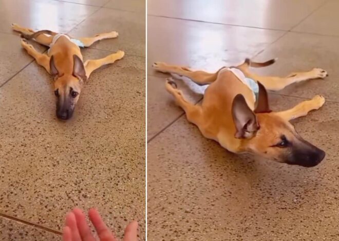 He Could Only Watch the World With His Eyes, Until a Tiny Twitch Sparked a Miracle