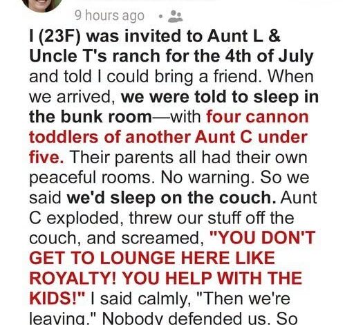 My Aunt Demanded I Babysit 4 Screaming Kids All Night 4th of July – I Found a Better Option