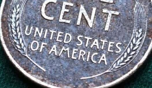 Could This Penny Be Worth More Than You Think?