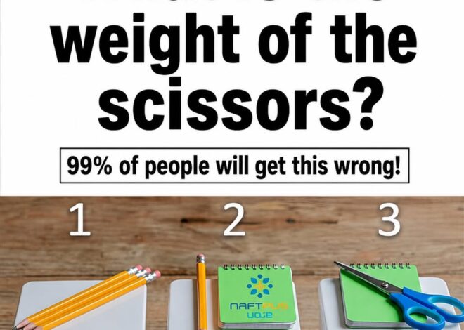 What is the weight of the scissors?