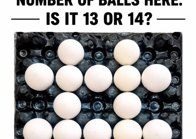 Count The Exact Number of Balls.