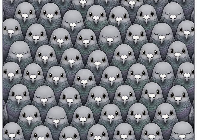 The Number Of Sleeping Pigeons You See Determines If You’re Lazy
