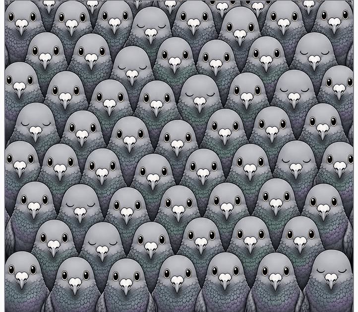 The Number Of Sleeping Pigeons You See Determines If You’re Lazy