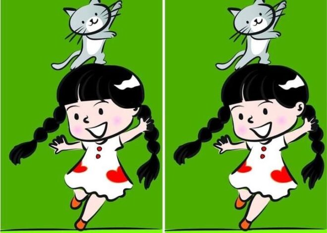 Spot the Difference: The Girl with Her Cat on Her Head Challenge!