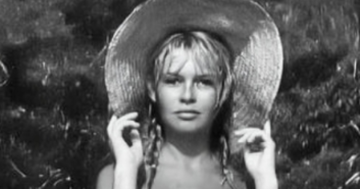 Recognize This Timeless Beauty?: Take a Closer Look at This Iconic Star’s Stunning Transformation Over the Years!