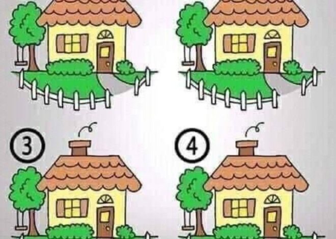 Which House is Different?