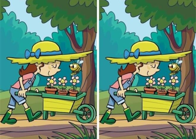 SPOT 1 DIFFERENCE: GARDENER & FLOWERS PUZZLE!