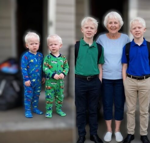 My DIL Demanded Full Custody of My Twin Grandsons after Ignoring Us for 10 Years – What One of the Boys Told the Judge Made the Whole Courtroom Freeze