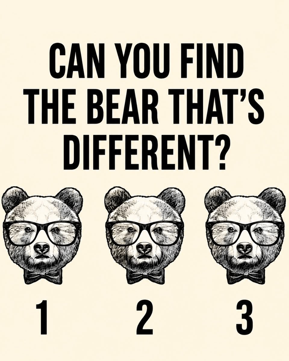 Can You Find the Bear That’s Different?