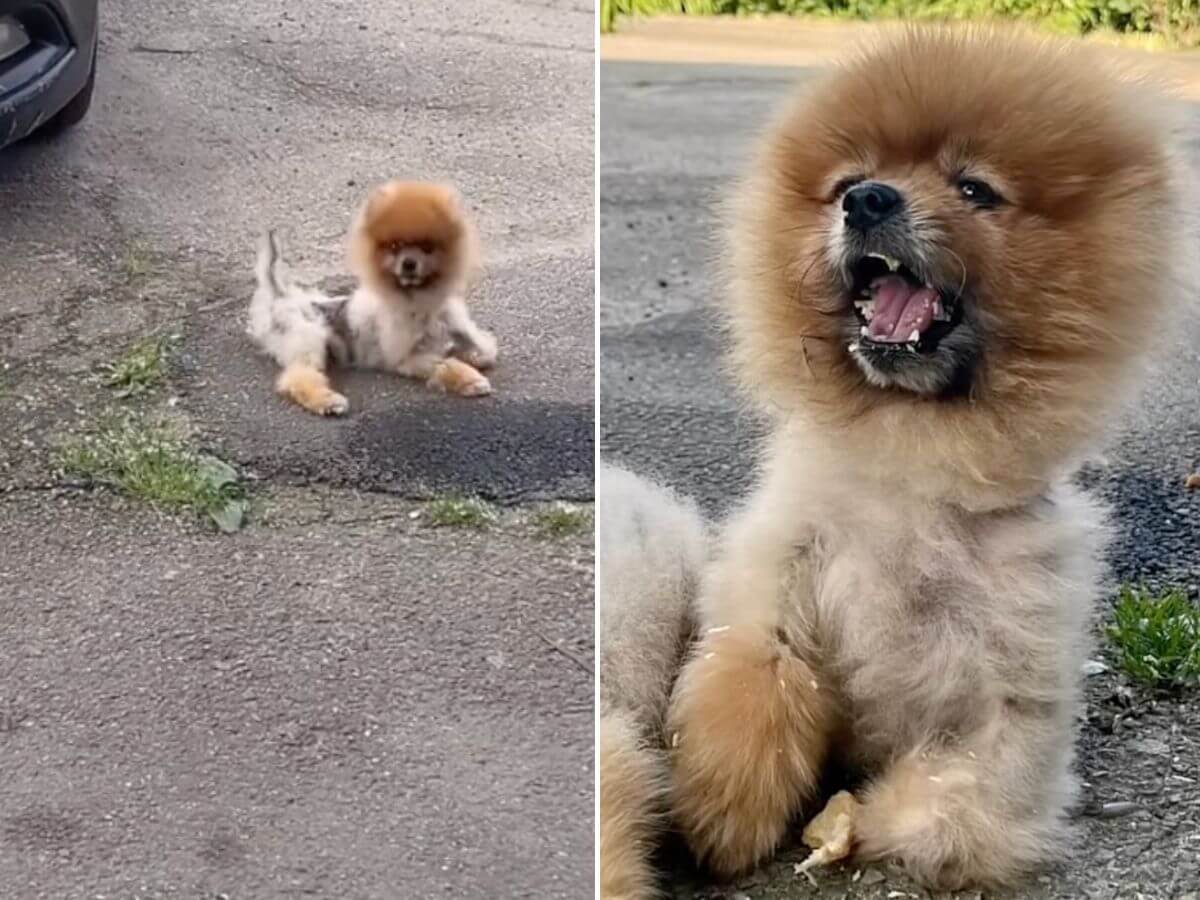 He Thought His Family Would Come Back. They Never Did