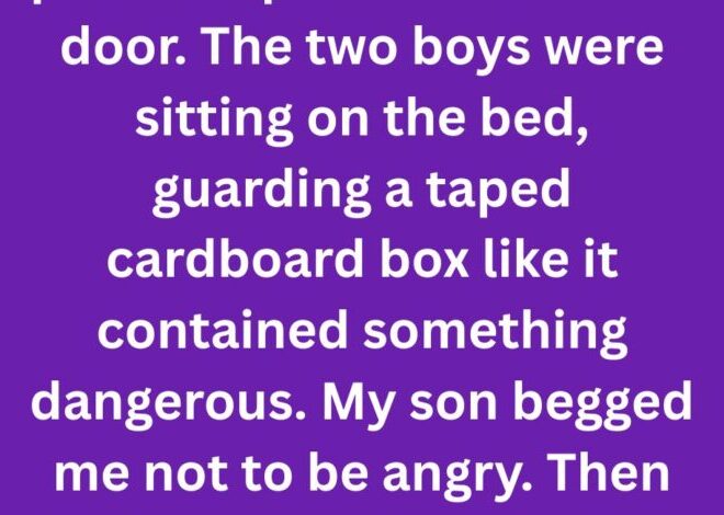 The Secret My Son Hid Inside a Cardboard Box