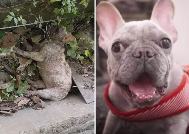 She Was Thrown Away Like Trash at a Garbage Dump. What Happened Next Gave Her a Family, a Child, and a Name.