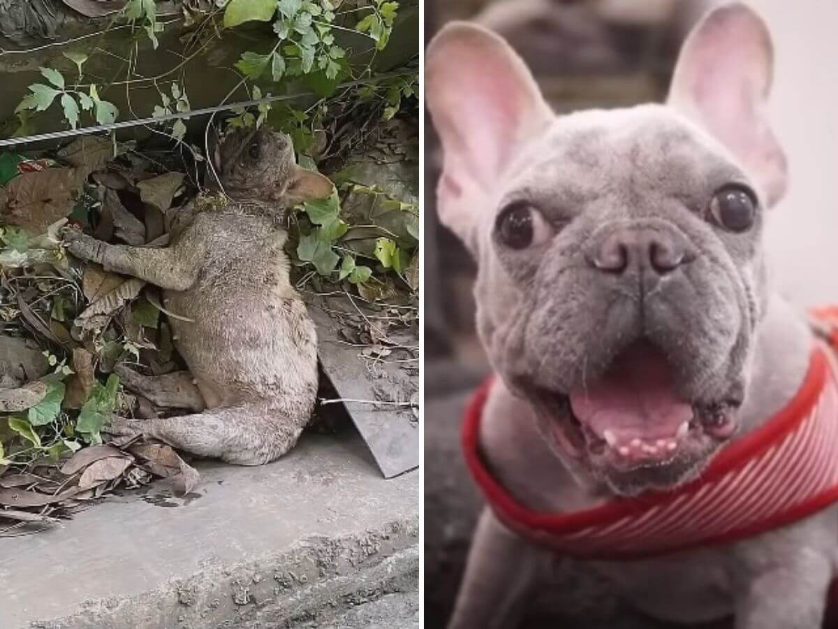 She Was Thrown Away Like Trash at a Garbage Dump. What Happened Next Gave Her a Family, a Child, and a Name.