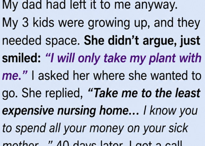 I Made My 72-Year-Old Mother Leave Her Home—40 Days Later, Her Final Gift Shattered Me