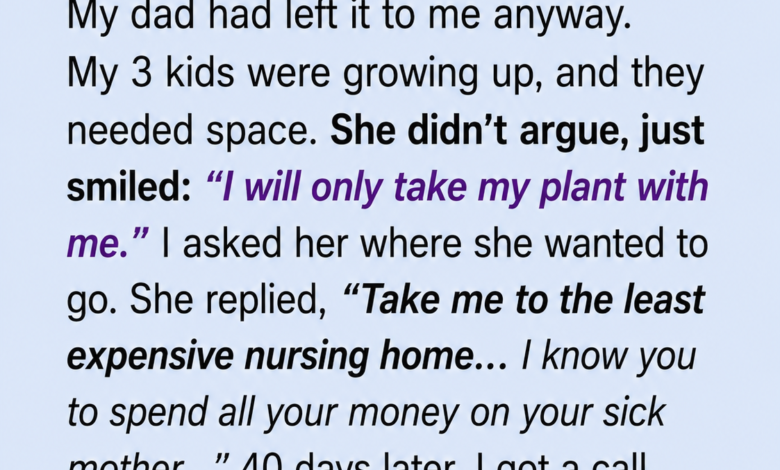 I Made My 72-Year-Old Mother Leave Her Home—40 Days Later, Her Final Gift Shattered Me