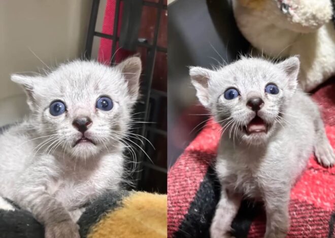 He Never Knew a Mother’s Warmth. Then Hope Found Him