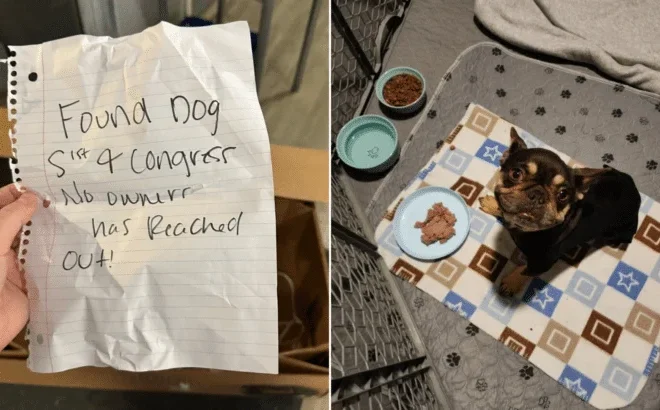 Texas Shelter Workers Read The Note First, Then Saw The Tiny Dog Inside