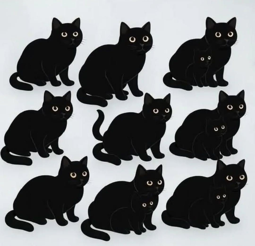 How Many Black Cats Can You See?