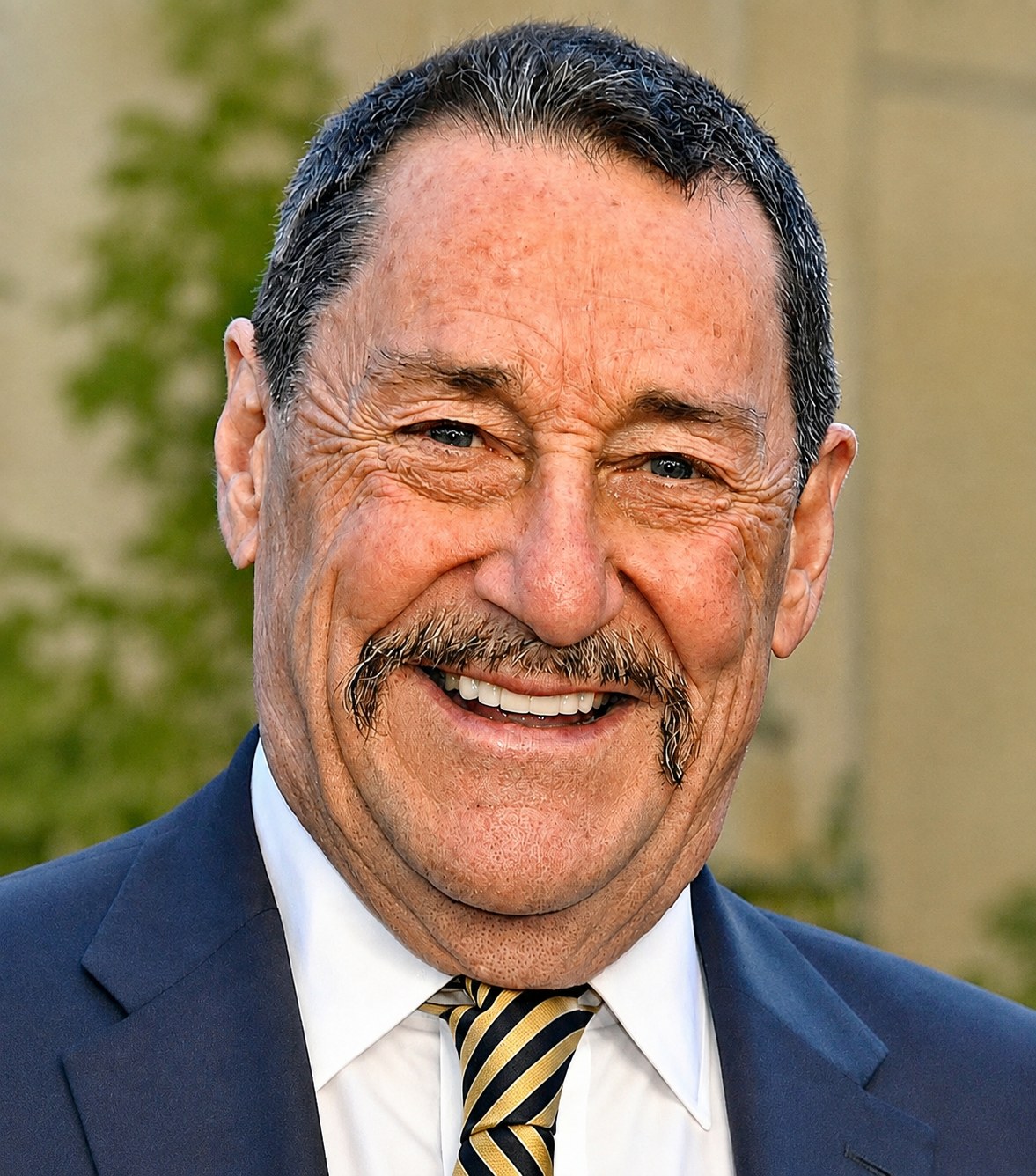 Search results for: Legendary Voice Actor Peter Cullen, the Iconic Voice of Optimus Prime