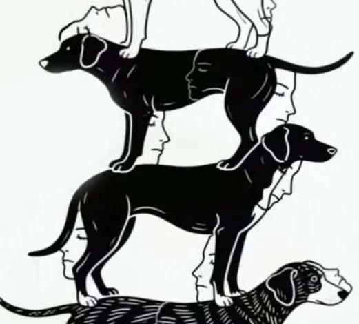 How Many Hidden Faces Can You See in This Picture?