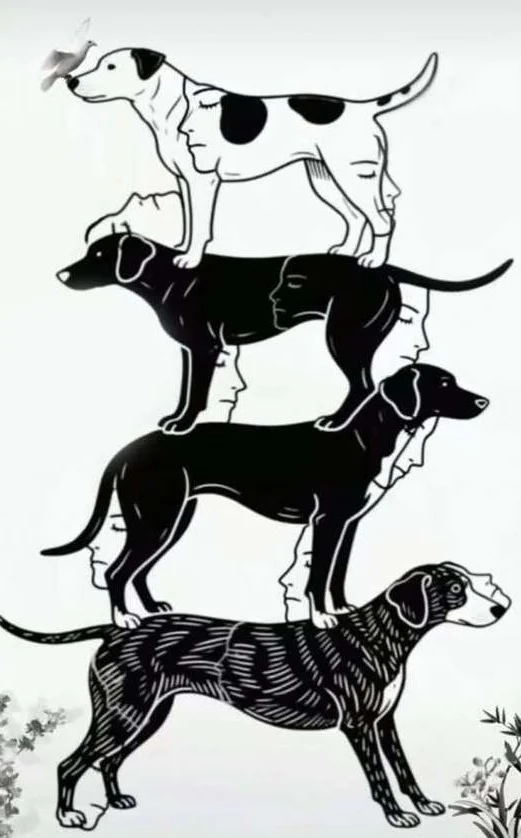 How Many Hidden Faces Can You See in This Picture?