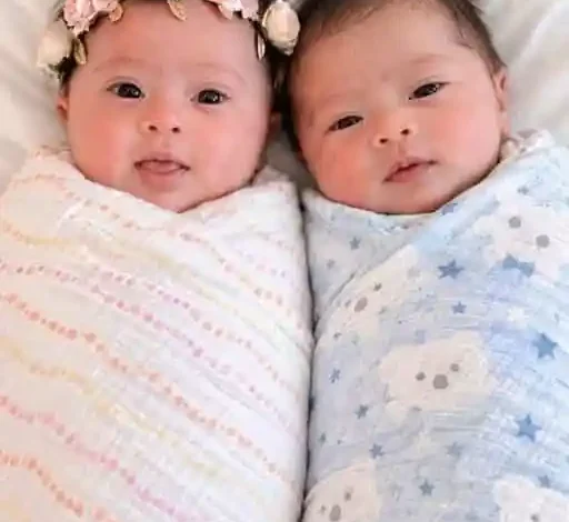 I left my newborn twins in the hospital