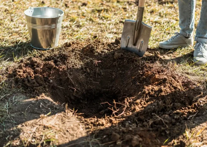 I Came Home to Find My Tenants Had Dug an Unauthorized Pool, Then I Noticed Something