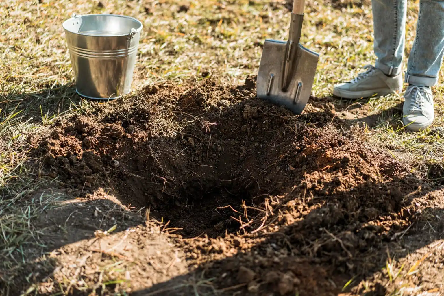 I Came Home to Find My Tenants Had Dug an Unauthorized Pool, Then I Noticed Something