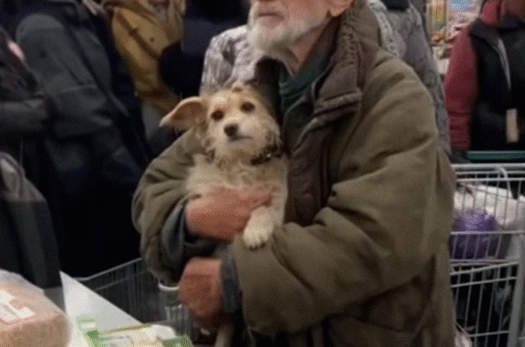 I Bought Food for a Poor Old Man and His Dog – What I Saw at My Door the Next Morning Left Me Frozen