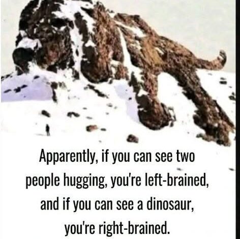 Decoding the Snowy Illusion: Why Your Brain Struggles to See the Sleeping Dog