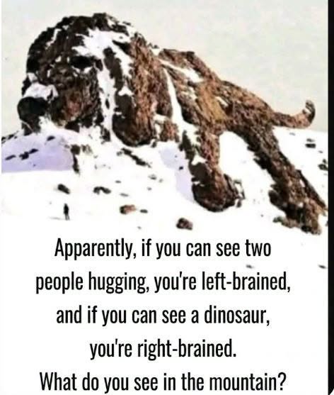 Decoding the Snowy Illusion: Why Your Brain Struggles to See the Sleeping Dog