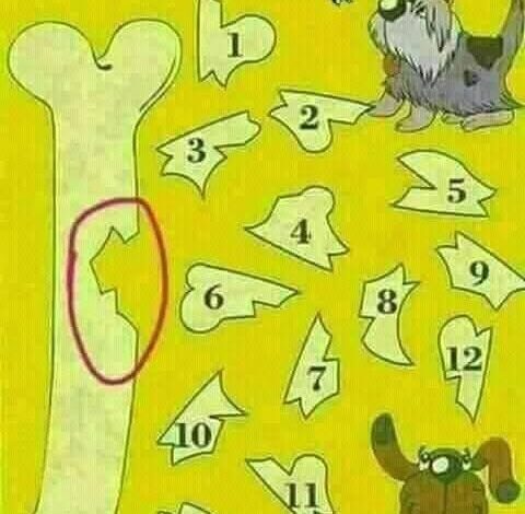 Which is The Broken Part of The Bone?