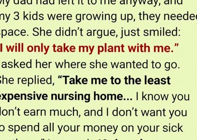 I Sent My Sick Mother to the Cheapest Nursing Home—After Her Death, Her Plant Broke Me