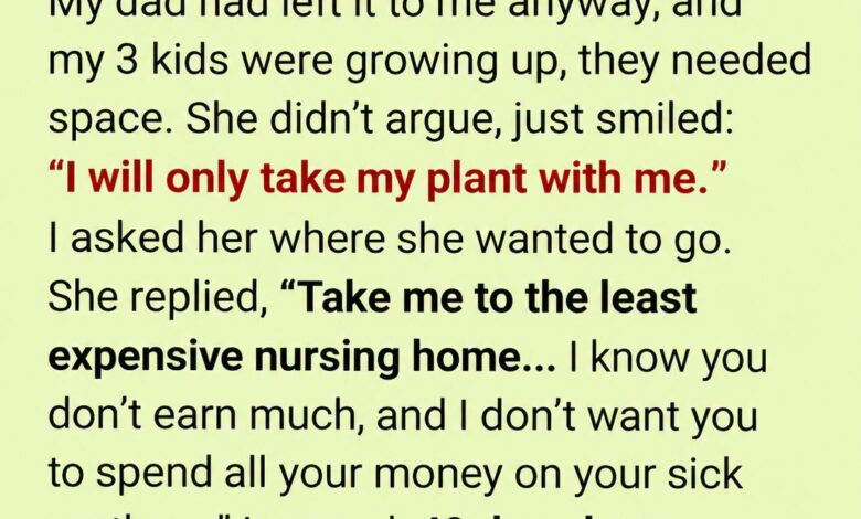I Sent My Sick Mother to the Cheapest Nursing Home—After Her Death, Her Plant Broke Me