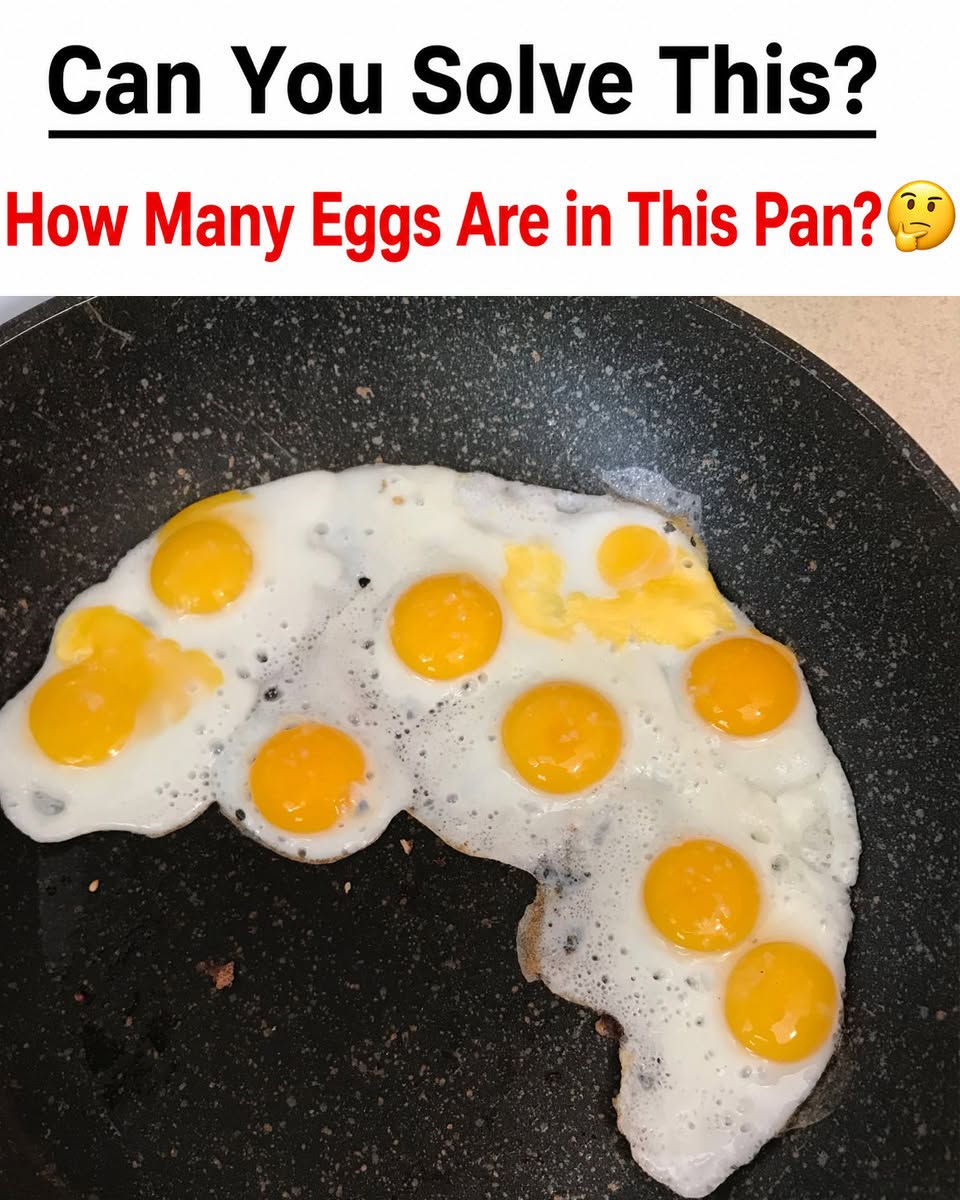 Crack the Code: The Great Egg Confusion