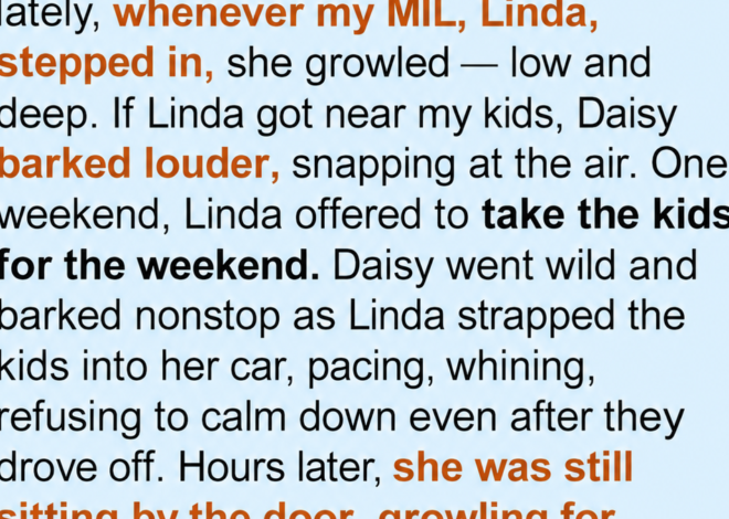 Why My Dog Howled When the Kids Left with My Mother-in-Law