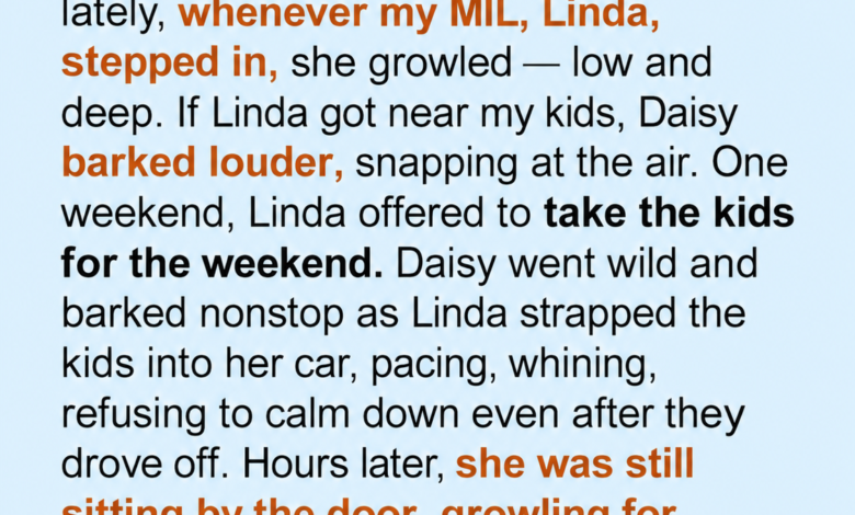 Why My Dog Howled When the Kids Left with My Mother-in-Law