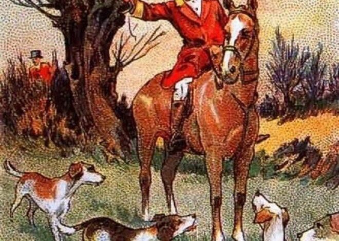 Find the fox — it’s almost impossible!